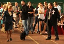 21.09.2013- CACIB-FCI " . -2013" . (,   )