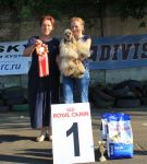 "" & "" 17.07.2016
