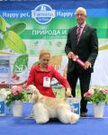 20.11.2016-���� ������� �������� ������������� ����� ������