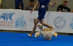 World Dog Show 2016!