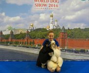World Dog Show 2016!