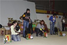 3,5     , 2  BISS-I (20.11.2010)